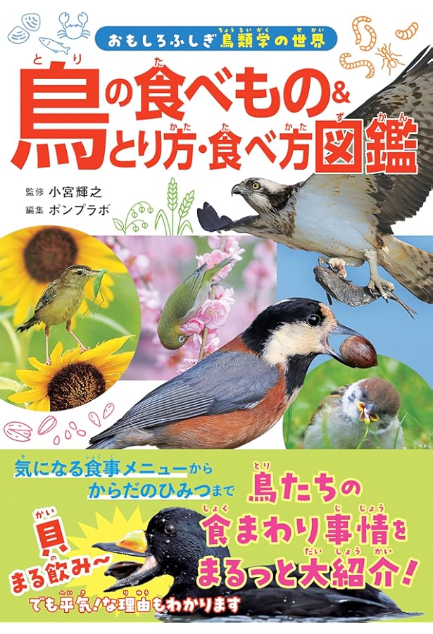 鳥のなかま＆分類・系統図鑑 | 小宮輝之, ポンプラボ |本 | 通販 | Amazon